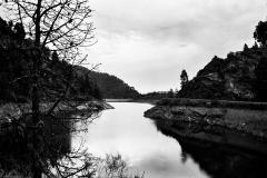 24A_0239