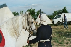Img0023_e22a