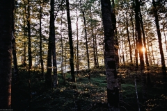 Photo16_12