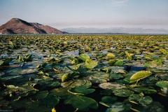 Photo28_24