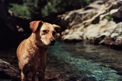 Autosave-File vom d-lab2/3 der AgfaPhoto GmbH