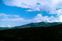 23032019-IMG_4252